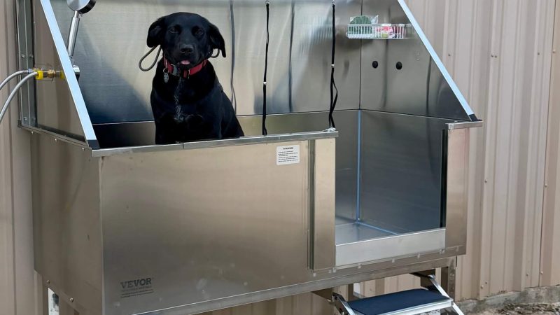 dog wash station dog wash station